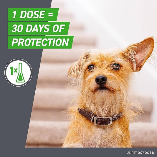 Frontline Plus for Dogs Large Dog 45–88 lbs – Flea & Tick Treatment, 6 Doses