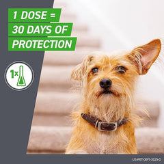 Frontline Plus for Dogs Large Dog 45–88 lbs – Flea & Tick Treatment, 6 Doses