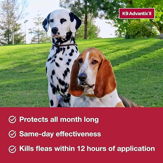 K9 Advantix II Medium Dog 11–20 lbs – Flea, Tick & Mosquito Treatment