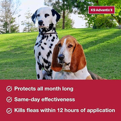 K9 Advantix II Medium Dog 11–20 lbs – Flea, Tick & Mosquito Treatment